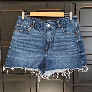 American Eagle Outfitters Strigid as 12 Distressed Blue Jean Shorts